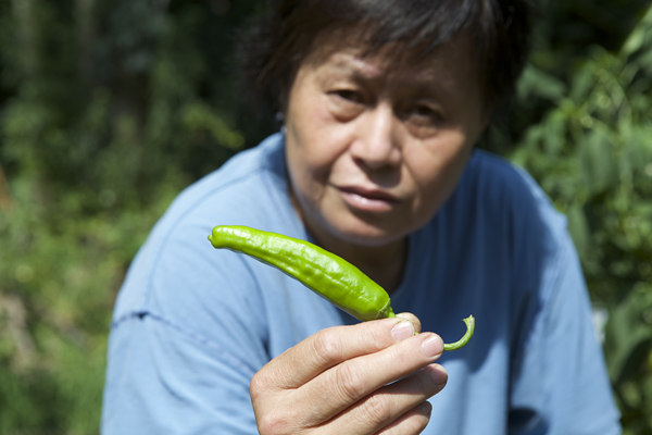 Seniors create little corner of China in garden<BR>