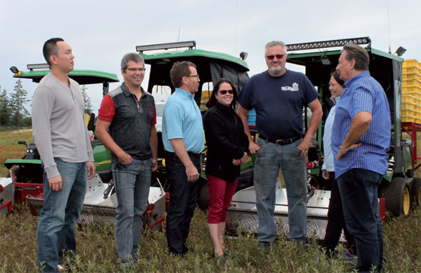 Wild blueberries juice up Canada's exports