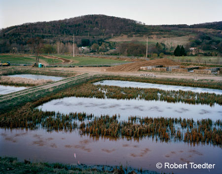 Environmental Images Organization Exhibition