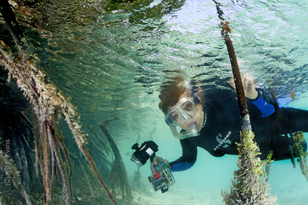 'The ocean is in trouble'