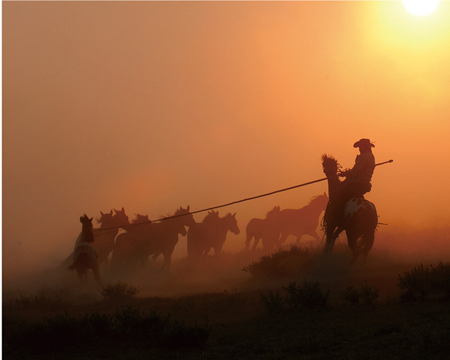 Iron steeds of the steppe