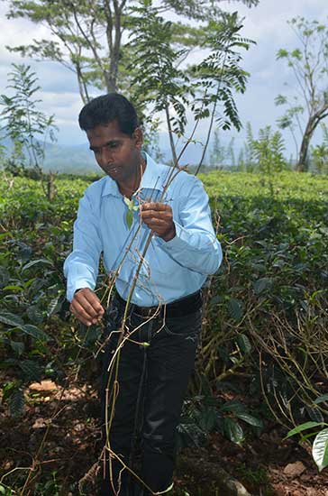 When millions of feet return, the farmers rejoice