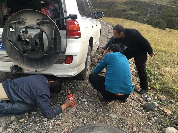 In search of the elusive snow leopard