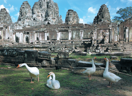 Angkor temples lure Chinese visitors