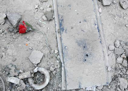 A lone flower lies in a devastated street in the Hizbollah stronghold in the south part of Beirut, July 25, 2006. 