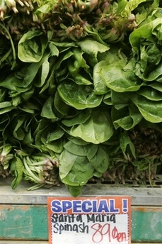 Spinach is displayed at at fresh produce market in Santa Clara, Calif. on Friday, Oct. 20, 2006. (AP 