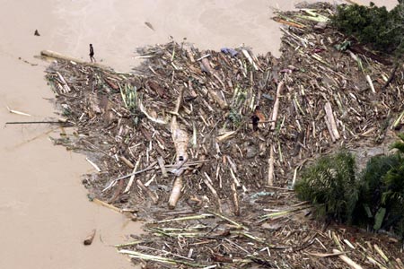 People stand among trees that fell during the floods in the district of Aceh Tamiang, Aceh province, December 24, 2006. Floods in Indonesia's Aceh and North Sumatra province have left at least 22 people dead and six missing, Health Ministry official Rustam Pakaya said on Sunday.