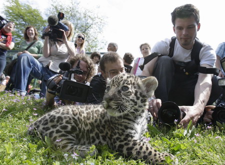 Jaguar cub troika debuts in Berlin