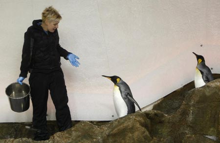 16 new arrivals at Melbourne Aquarium