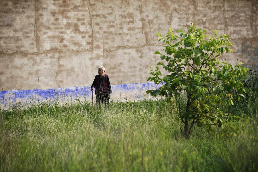 Comfort women: Scars have not been healed