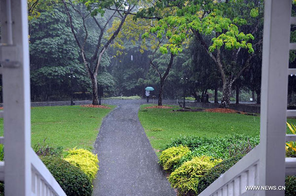 Views from Singapore Botanic Gardens