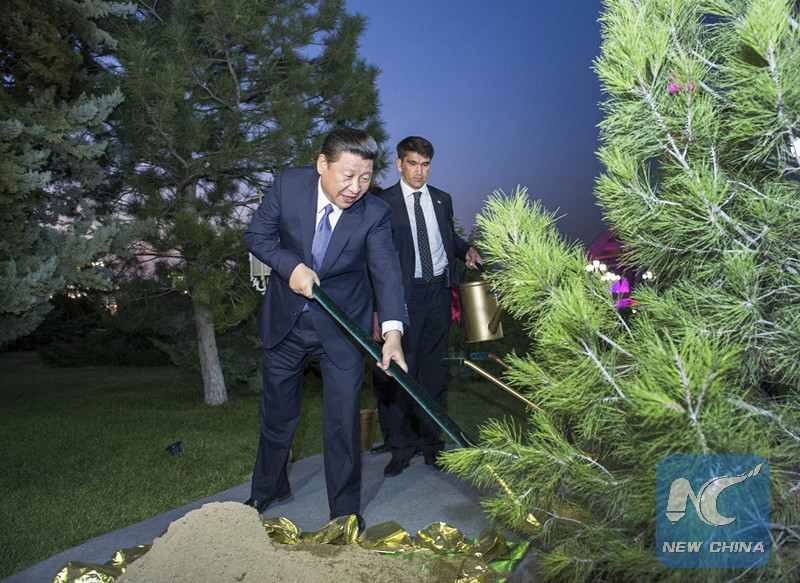 Trees of Friendship Chinese Xi has planted during his visits