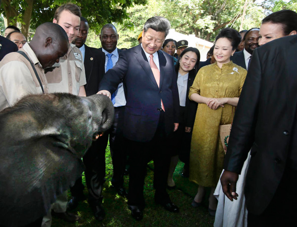 Xi reiterates China's commitment to wildlife protection