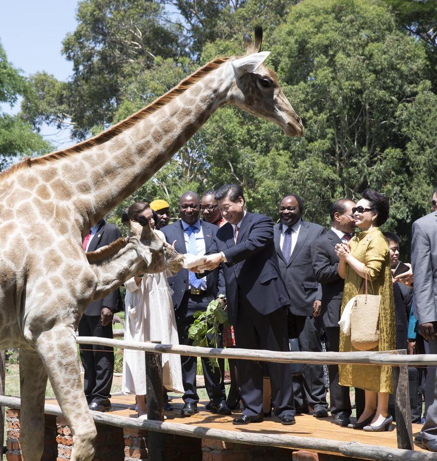 In pictures: Chinese president's visit to Zimbabwe