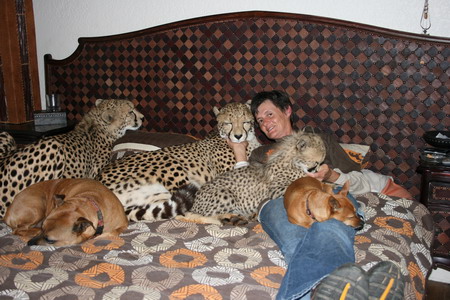 Woman lives with cheetahs, lion, wolves