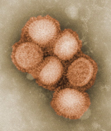 Countries join battle against swine flu