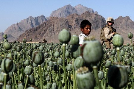 US troops target poppy farming in Afghanistan