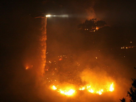 Forest fire in California