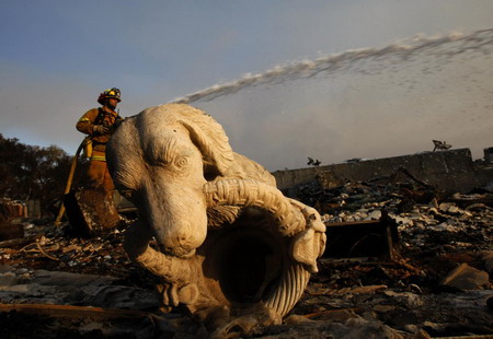 Forest fire in California