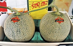 Latest victim of Japan's recession, pricy melon