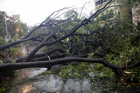 Thousands evacuated as cyclone hits India