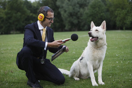 Who makes the loudest bark in the world?