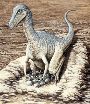 Dinosaur much lighter than previously thought: study