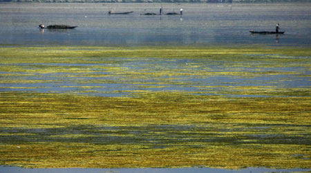 India cleans up iconic Dal Lake to control pollution