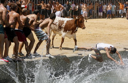 Bulls chase into the sea in Spain