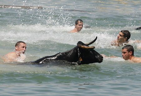 Bulls chase into the sea in Spain