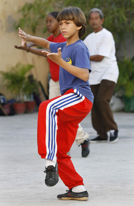 People practice Tai Chi in Havana