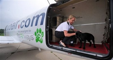 Paws up: All-pet airline hits skies