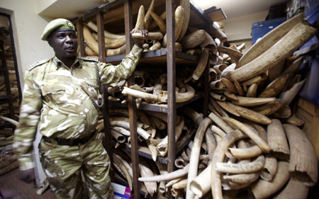 Wildlife artefacts from Kenya Wildlife Services