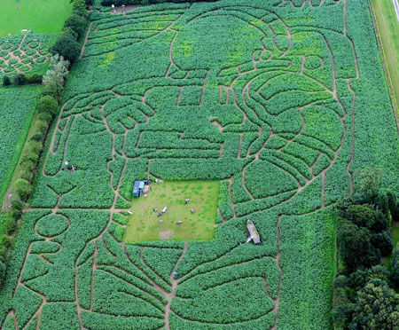 Maze marks Apollo moon landings 40th anniversity