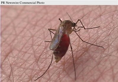 Mosquitoes deliver malaria 'vaccine' through bites