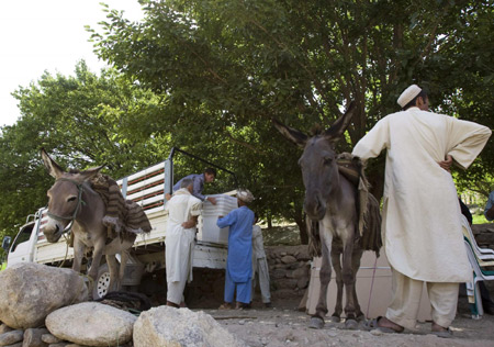 Afghans use donkeys to carry election ballot boxes