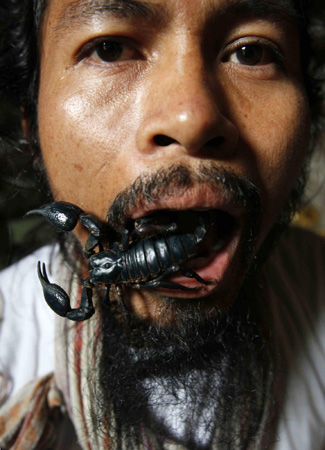 Thailand man lives with 4600 scorpions