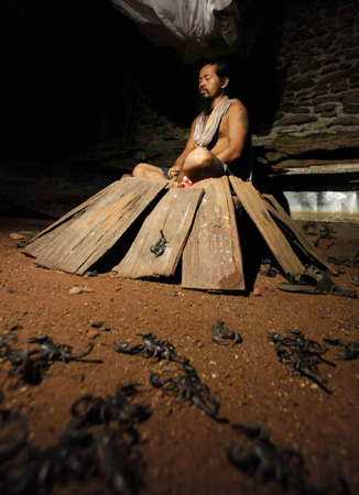 Thailand man lives with 4600 scorpions