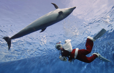 Christmas warm-up in Japan