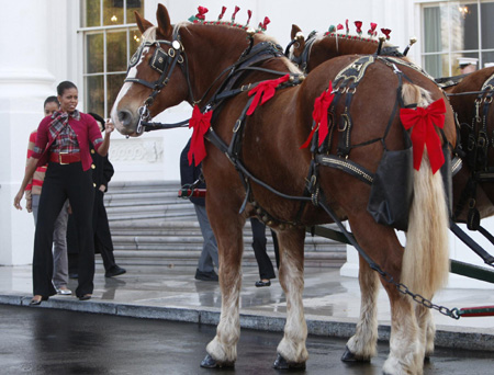 Christmas Tree arrives at White House