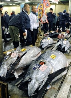 Giant tuna fetches $177,000 at Japan fish auction