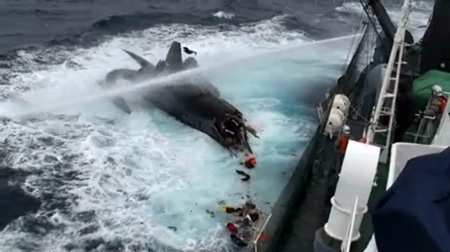 Anti-whaling boat damaged during protest at sea