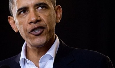 Poll: Obama's 1st year gets mixed verdict