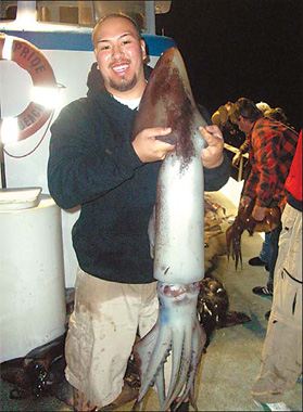 Giant squid excite anglers in California