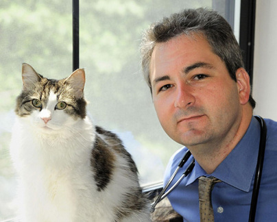 Doctor casts new light on cat that can predict death