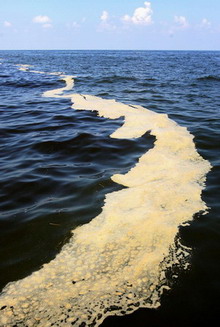 Gulf leak eclipses Exxon Valdez as worst US spill