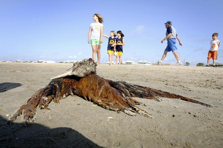 Gulf leak eclipses Exxon Valdez as worst US spill