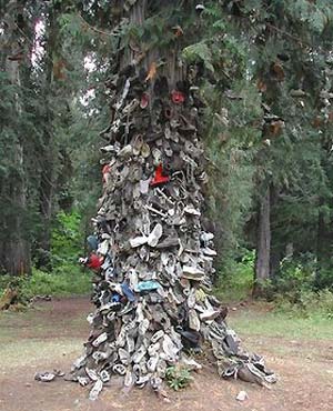 US tree decorated with shoes since 1940s burns