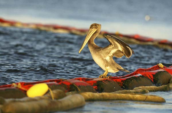 BP extends oil well test in Gulf of Mexico