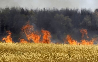 Russia bans grain exports amid severe drought
